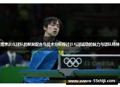 南京乒乓球队的默契配合与战术分析探讨乒乓球运动的魅力与团队精神